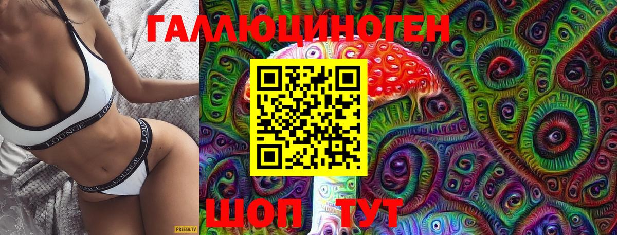 Галлюциногенные грибы Psilocybe Омск