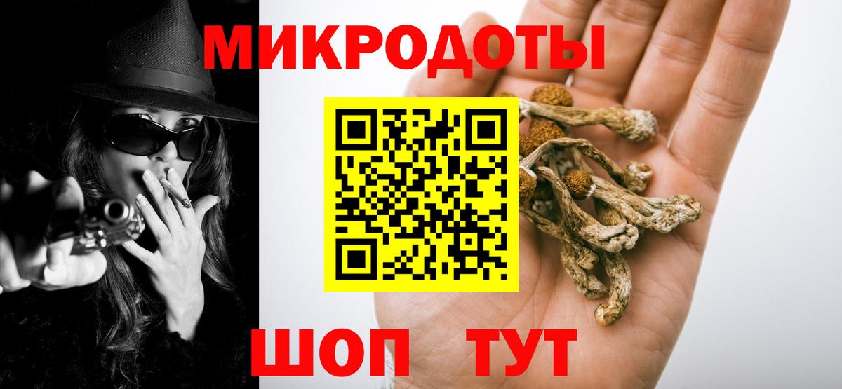 Омск  Псилоцибиновые грибы прущие грибы  Вход с VPN 